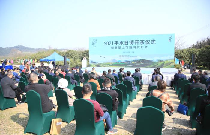关于平水日铸茶今日开采,现场销售意向百万元的新闻