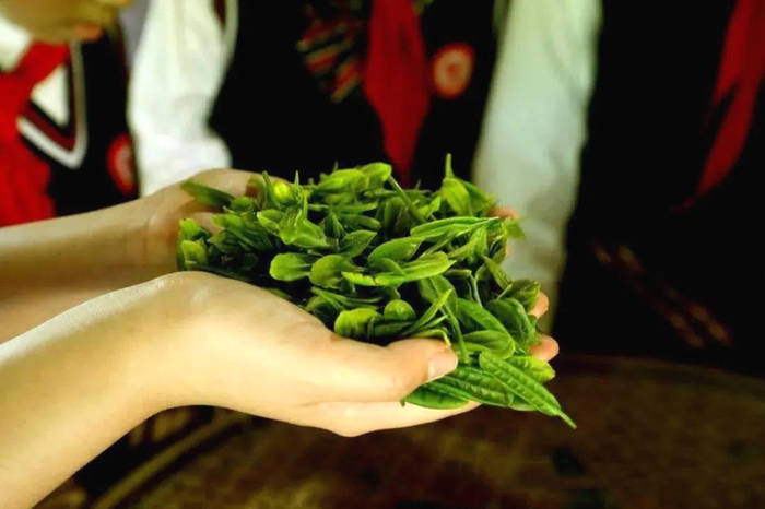 有关于“茶界盛会共谋“十四五”茶发展”“湘西黄金茶助推百亿茶产业”“茶博会如何讨好年轻人”的热门资讯(7)