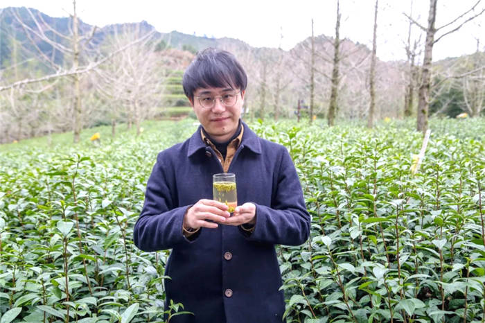 有关于开化龙顶茶：水中跳芭蕾，国家地理标志农产品的热门信息(10)