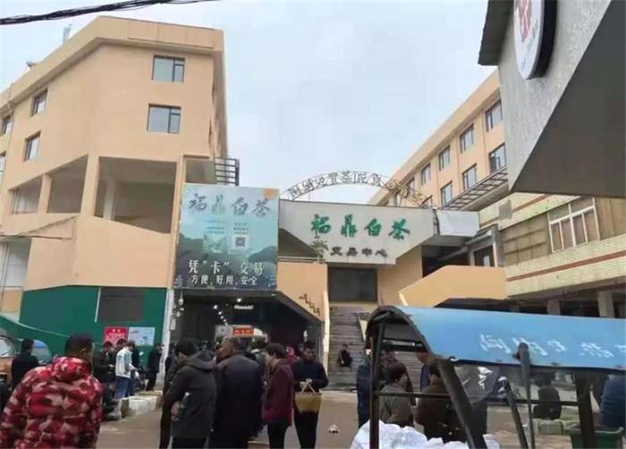 关于“2020中国茶叶出口发展趋势”“古茶首届春茶开采”“白茶涨势明了”的热门新闻(8)