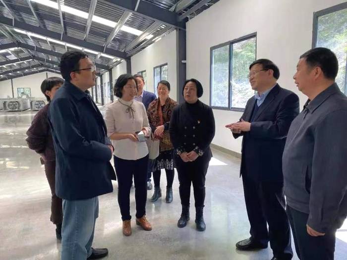 关于湖南省茶业协会战略专家组一行调研石门县茶叶产业的信息(1)