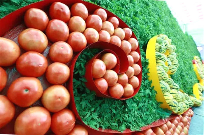 有关于2021年农业农村部重点扶持这样28个项目的最新信息(4)