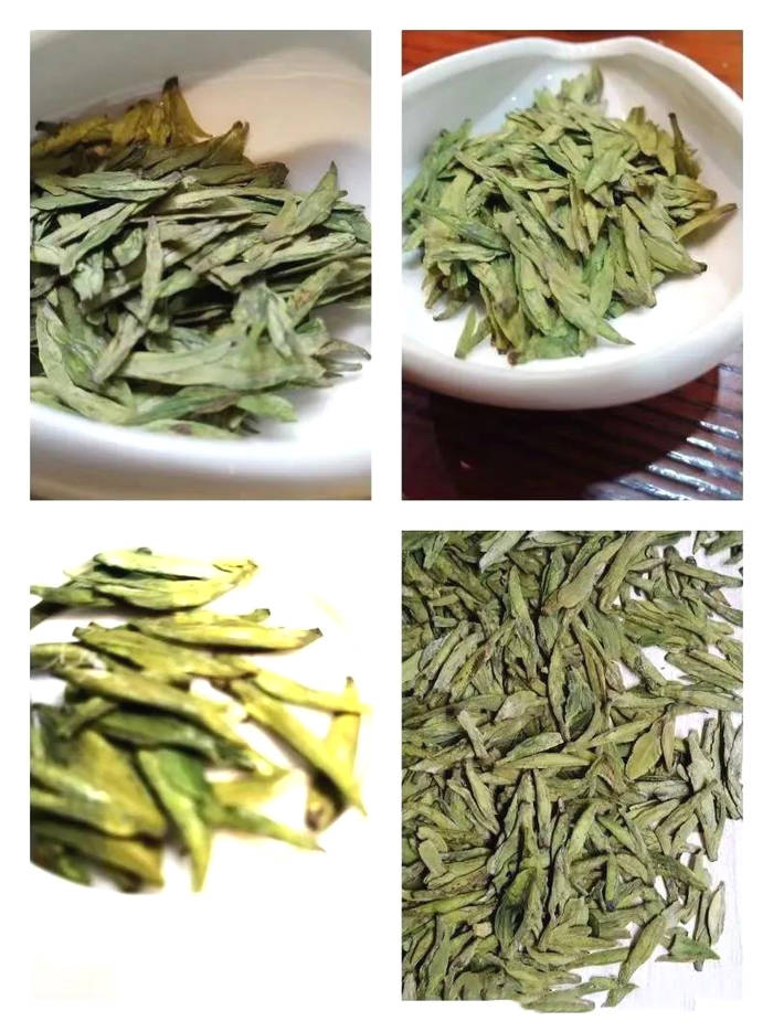 有关于贵州黎平：春茶黄金档，媒体喜帮忙（组图）的热门新闻(7)