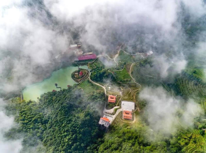 有关于一周速读：2021中国茶叶发展趋势分析、仓颉号新一代传奇、中老期茶行业风向标的新闻(6)