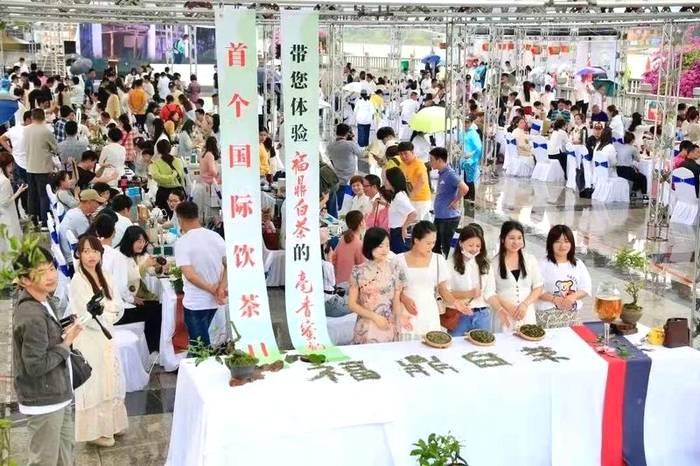 关于一样的路，不一样的风景——回首2020的福鼎白茶的信息(8)