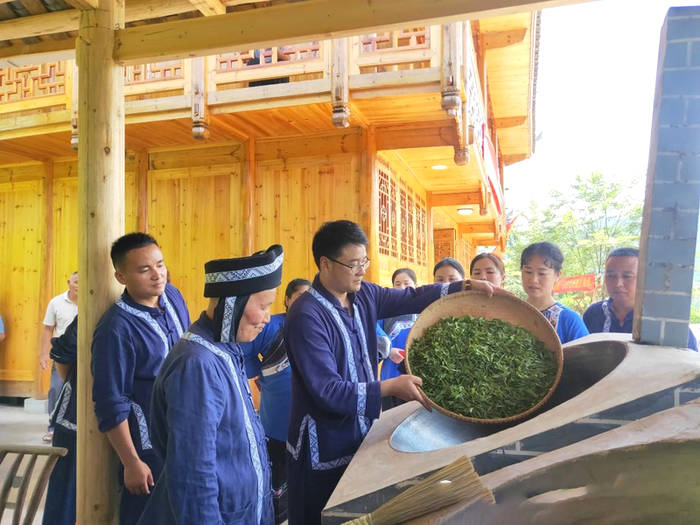 有关于老茶王传统仪式收徒——茶乡古丈非遗传承助力乡村文化振兴的最新资讯(8)