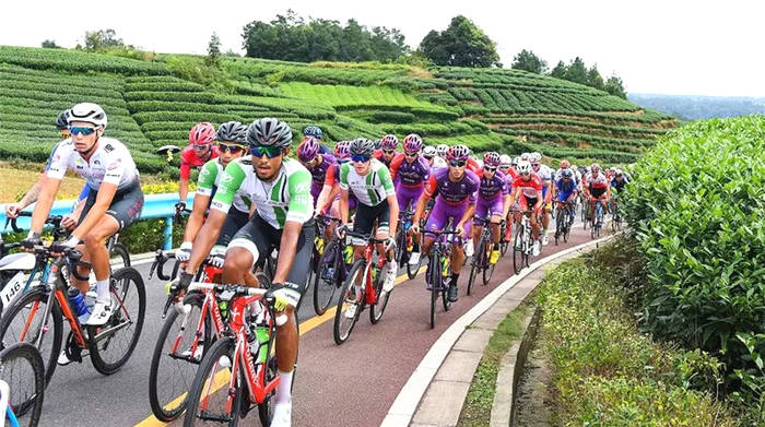 有关于雅安海棠村：穿越茶乡古镇 追逐大地掌纹的消息(10)