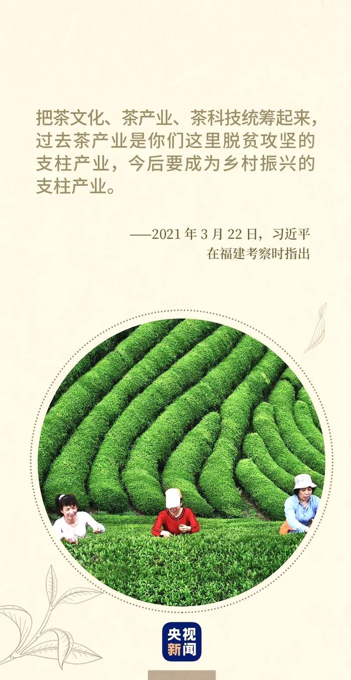 有关于“国际茶日”促进全球茶文化交融互鉴和茶产业持续发展的资讯(6)