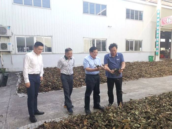 有关于海峡两岸茶业交流协会陈绍军会长一行赴三明调研茶产业的热门信息(3)