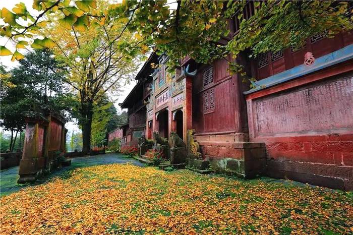 有关于蒙山茶传统制作技艺入选第五批国家级非物质文化遗产代表性项目名录推荐项目名单的热门资讯(21)