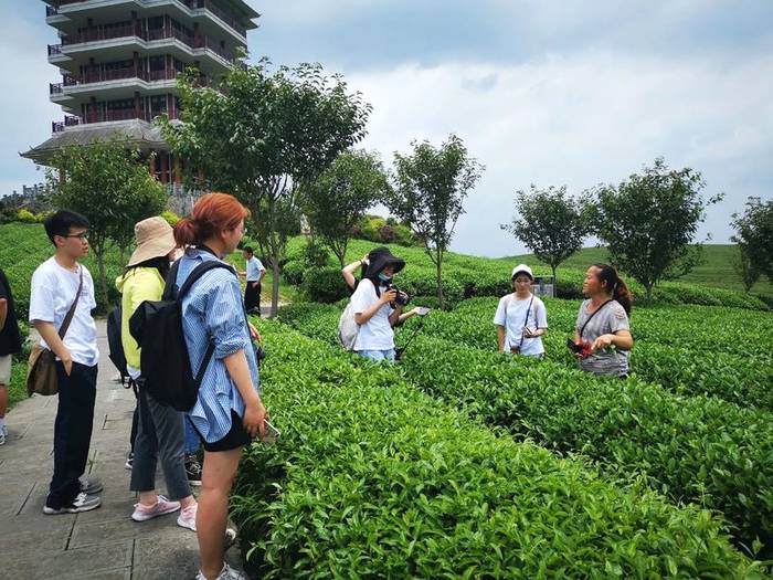 关于20余名清华大学硕士研究生到湄潭开展实践调研的最新消息(5)