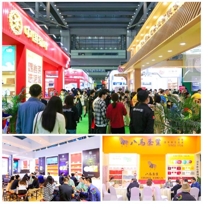 关于十大关键词,带你回顾2020年茶行业的大事件!的热门新闻(19)