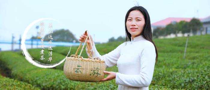 有关于湖南农业大学与望城区茶业产学研基地合作项目签约的资讯(12)