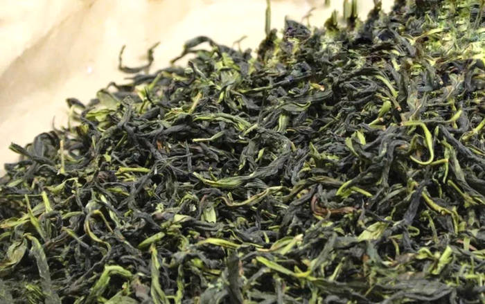 有关于春茶进入采摘季节!业内人士估计:今年单丛茶量减价升的热门信息