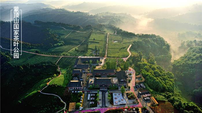 关于雅安名山：建设国家茶叶公园城市，展望“十四五”，我们这样做的消息