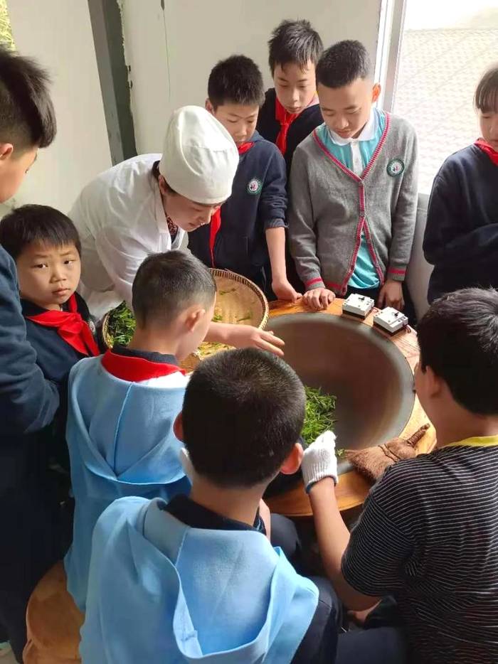 有关于亲近自然、拥抱茶园|“林城苗苗+茶叶研究所”茶研学进行时的最新资讯(7)