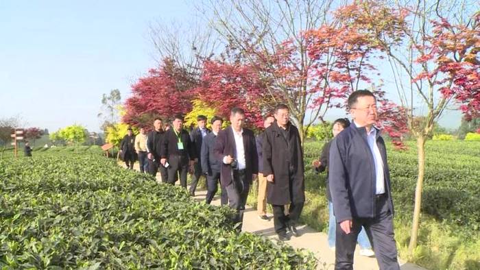 有关于蒙顶山茶对话名家名刊，看看会有怎样的激情与火花的热门消息(2)