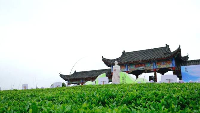 关于茶香飘万里！这片小小的叶子，让世界认识了铜仁的信息(4)