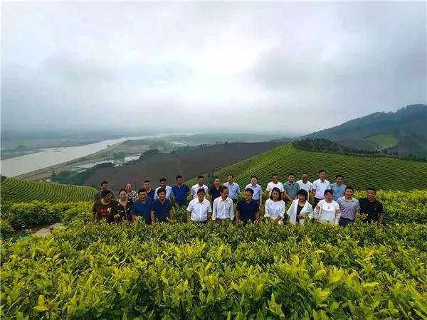 关于宣城市茶产业工作暨“广德黄金芽”生产基地观摩会议在广德召开的热门新闻(1)
