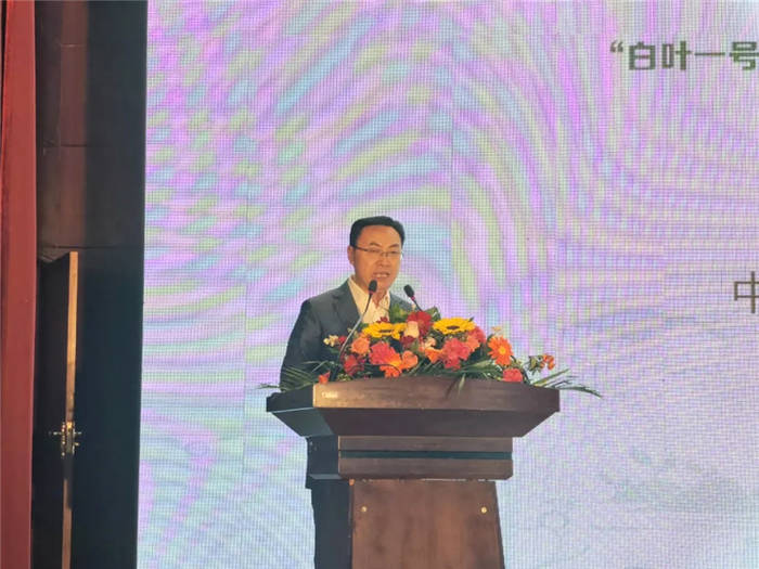 有关于“携茶白叶一号”联销首发助力“三省五县”乡村振兴的热门消息(8)