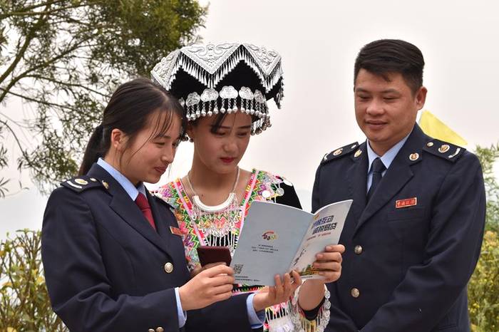 关于西林县税务局组织业务骨干“税务蓝”助力“春茶绿”的新闻(1)