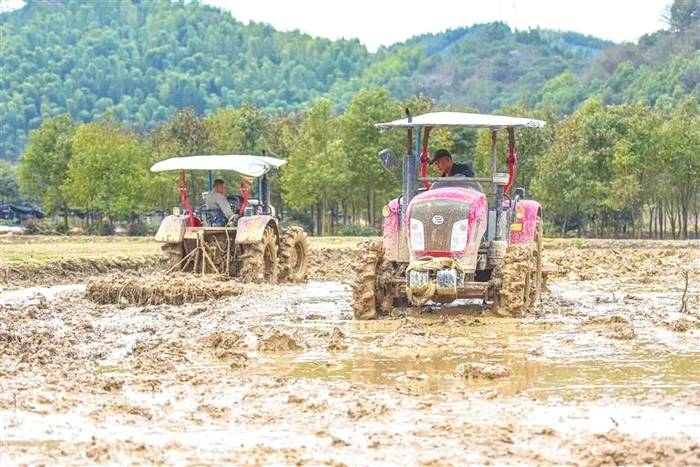 有关于播撒绿色希望 放飞有机梦想 武义现代农业生机盎然的信息(1)