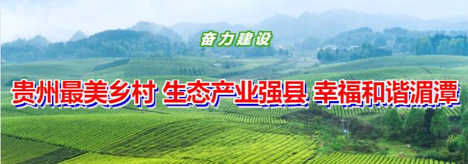 关于贵州省政协农业农村委来湄潭调研农产品深加工和品牌建设的最新信息