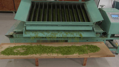 有关于瑞安市市场监管局推进茶产品质量提升品牌知名度的热门资讯(1)