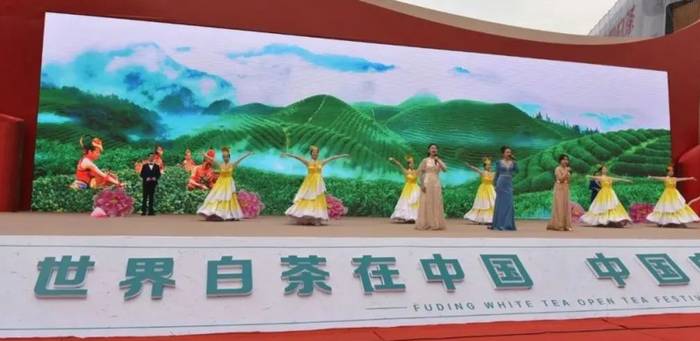 有关于第十届福鼎白茶开茶节在点头镇观洋村举行的热门信息(2)