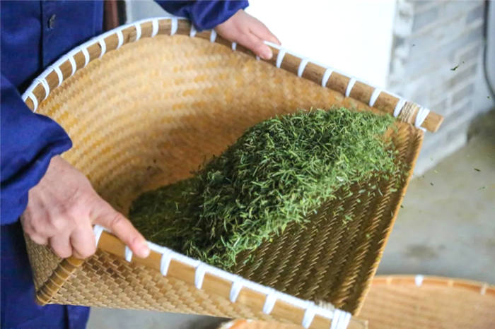 有关于开化龙顶茶：水中跳芭蕾，国家地理标志农产品的热门信息(3)