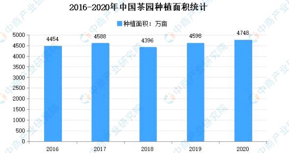 有关于2021年中国茶产业市场现状分析：茶园种植面积增长3.26%的最新资讯
