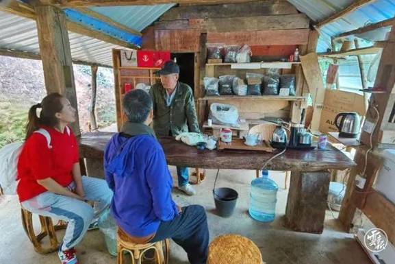 有关于云南各地春茶开采 一片茶叶成就一个绿色产业的最新信息(12)