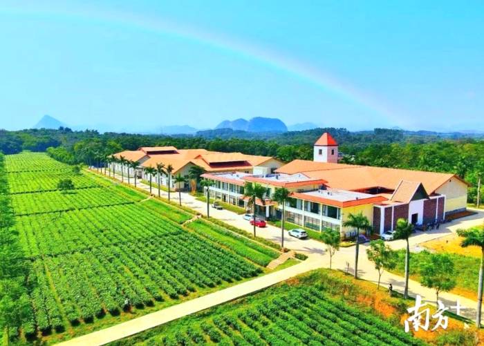 有关于4月1日即将举办英德红茶头采春茶节活动的资讯(3)