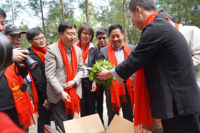 有关于前方高能!柘荣高山白茶竟然有“仙气”!的热门新闻(6)