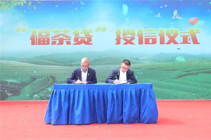 关于“坦洋工夫”春茶正当时，科技力量创良好开局的热门资讯(2)