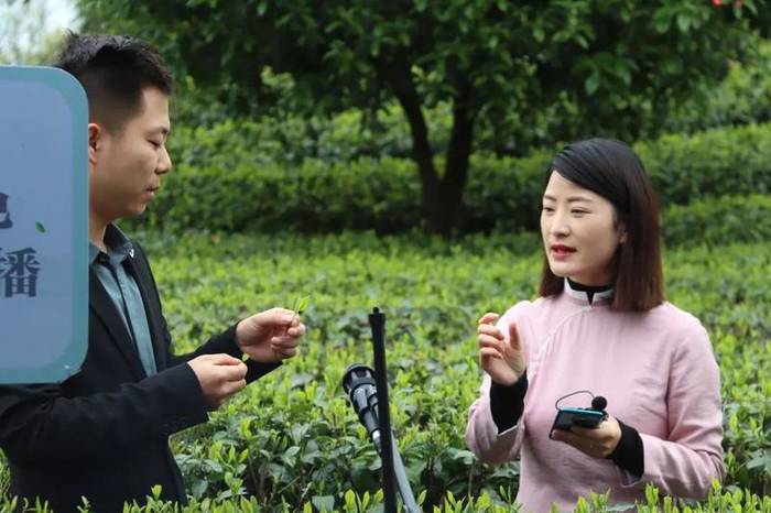 有关于3个小时卖了30多万!淘优卖为湄潭直播带货的热门信息(1)