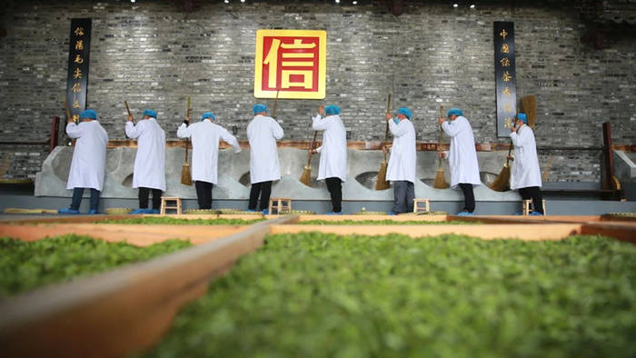 关于绿色发展 美好生活 文新茶村欢迎您来看中国最美茶园的信息(3)