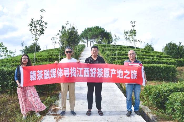 关于带你寻遍江西好茶，赣茶 · 年终回顾系列之一 · 寻茶记的新闻(19)