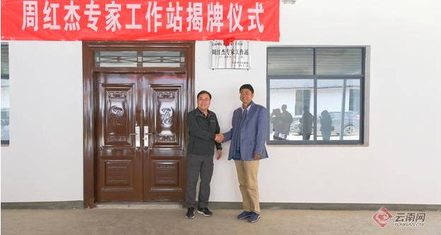 有关于文山州首个茶产业专家工作站西畴县法斗乡坪寨村揭牌的新闻