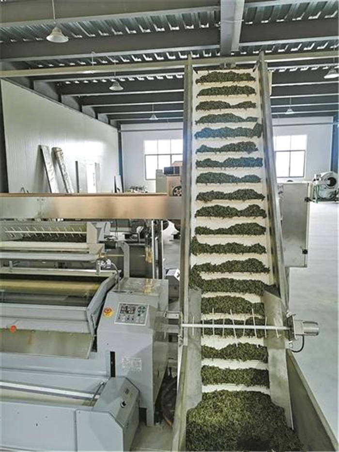 关于“机器换人” 宁波茶叶生产迎来“满园春”的热门新闻