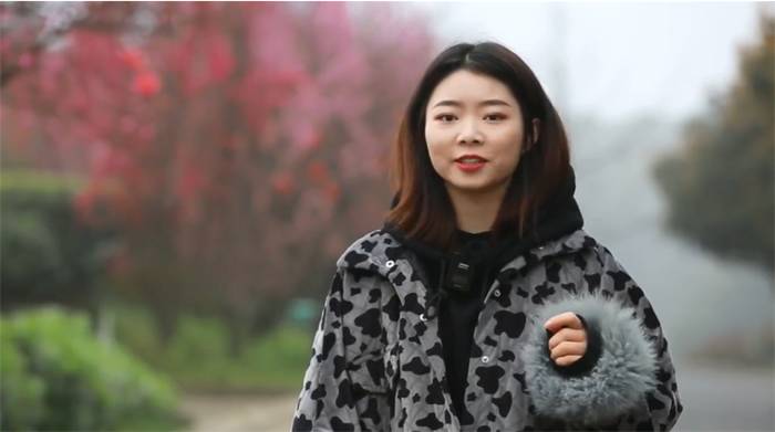 有关于雅安海棠村：穿越茶乡古镇 追逐大地掌纹的消息(8)