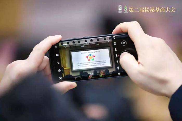 关于关于白茶产业发展的各个维度，这次专家都讲全了的热门新闻(6)