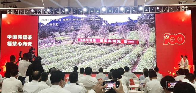 关于“茶文化、茶产业、茶科技”福建茶产业综合服务平台上线启动的新闻(1)