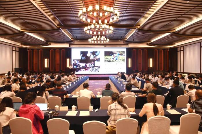 有关于5月茶情:"贵州绿茶"铺天盖地 国际茶日黔茶飘香的最新信息(10)