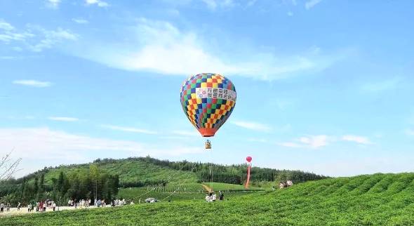 关于擦亮“茶叶之乡”名片，咸宁茶产业探索突围之路！的热门消息