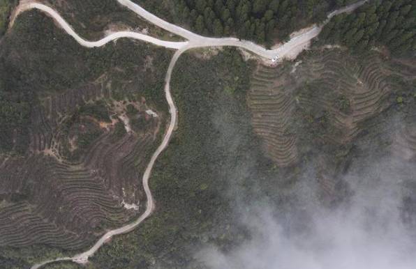 关于南岳1.08万亩茶园第一批春茶采摘时节的消息(2)