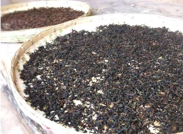 有关于“点叶成金”！500年古树茶为群众致富闯出新路子的最新信息(2)