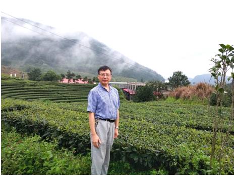 关于叶乃兴教授团队揭示高香优质乌龙茶品种‘黄旦’的单体型和二倍体参考基因组的热门消息(4)