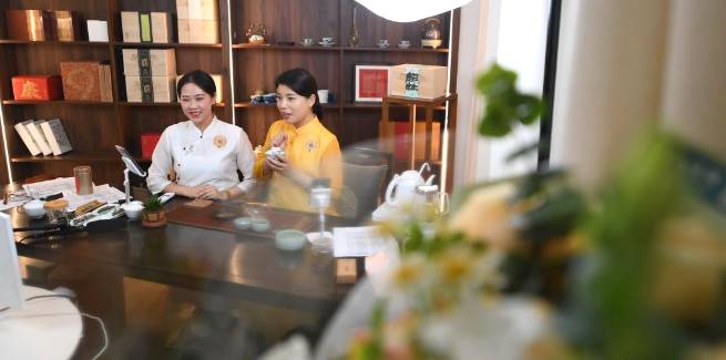 关于福鼎佳阳畲族乡 茶产业是当地乡村振兴的支柱产业的新闻(5)