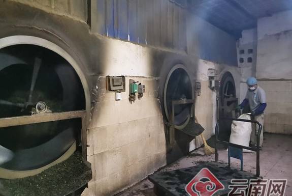 关于红河元阳：茶园进入最佳采摘期 茶农忙采明前第一波春茶的资讯(2)